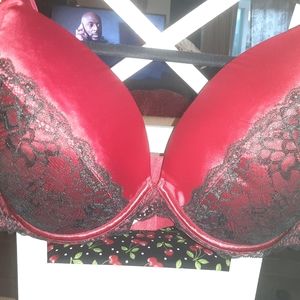 Pluse size bra